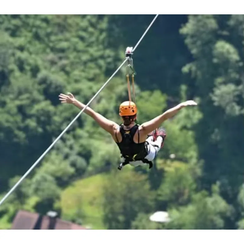 Customized Heavy Jungle Zip Li - Outdoor Adventure Zipline 评论和价格