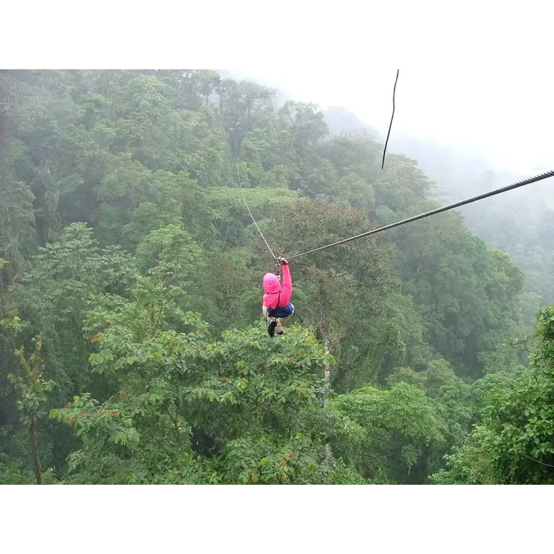 Customized Heavy Jungle Zip Li - Outdoor Adventure Zipline 评论和价格